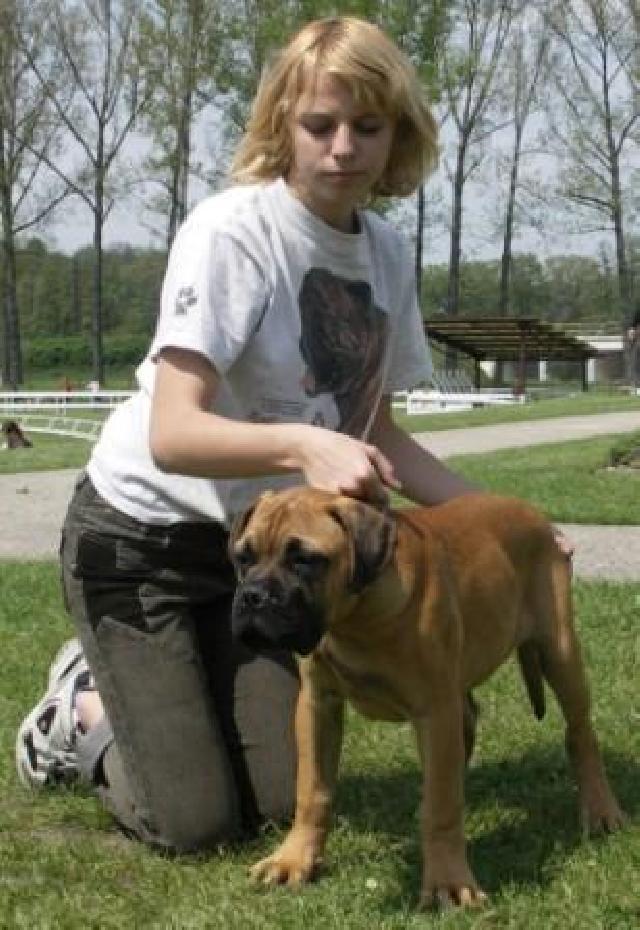 Foto: Bullmastif-CH. ST. ROTT-BULL (HLÍNOVI, hlinovi@c-mail.cz)