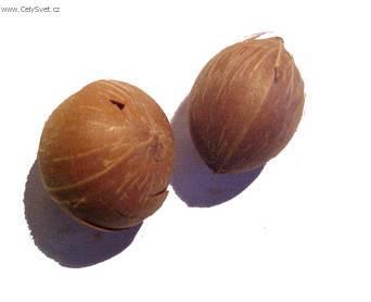 Foto: Kokosovec Weddel�v