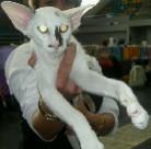 Fotky: Seychelsk� ko�ka (foto, obrazky)