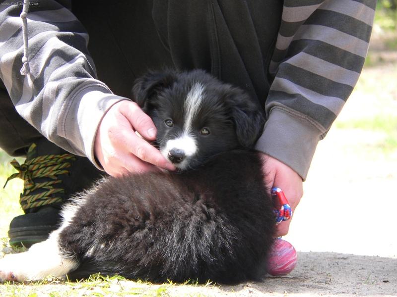 Foto: Borgia Corrie Mintaka