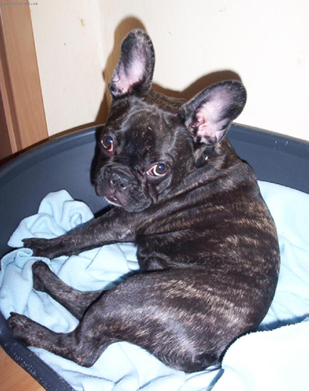 Foto: Rozárka 5 měsíců