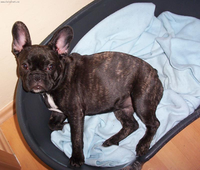 Foto: Rozárka 5 měsíců