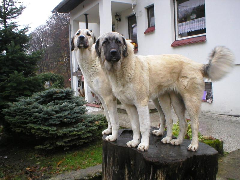 Foto: CaRi a ArEtA