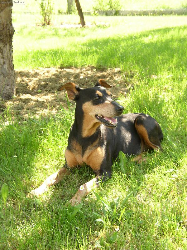 Foto: daisy-daisy