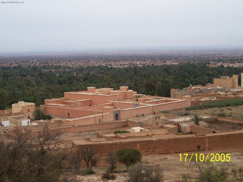 Foto: Datlová oáza-20.000 datlových palem živí 3 vesnice