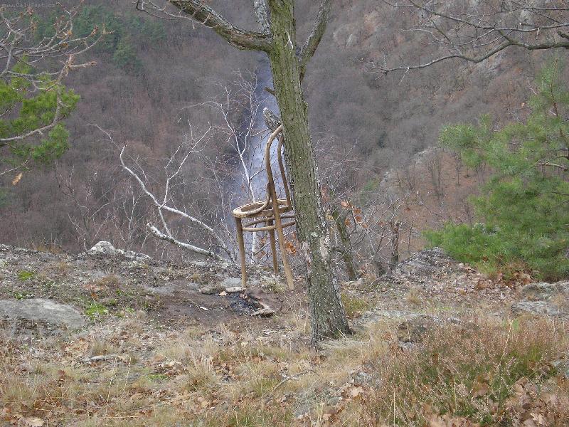 Foto: seslik v Narodnim parku Podyjí-seslik na stromě