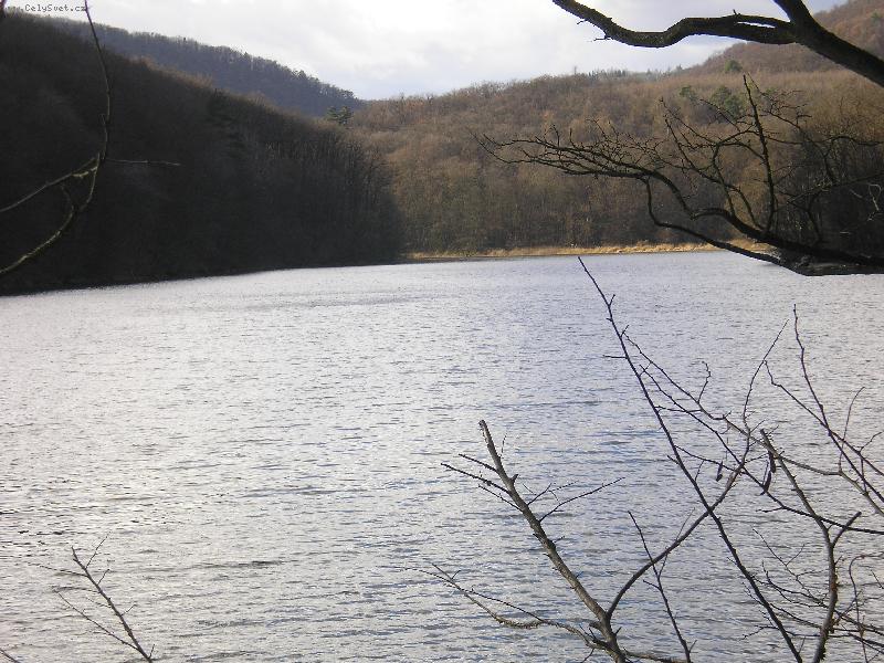 Foto: Podzim v  Podyji-u vody