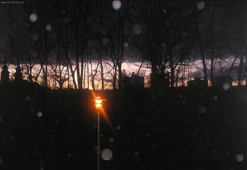 Foto: Kytičky-Horizont-Olomouc