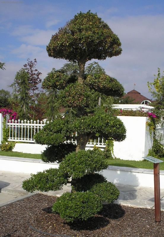 Foto: Kytičky-Horizont-Olomouc