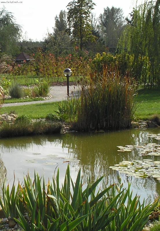 Foto: Kytičky-Horizont-Olomouc