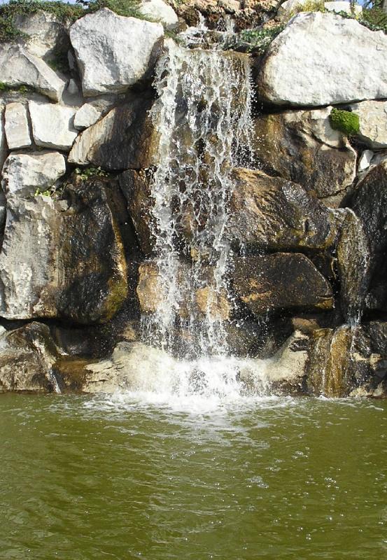 Foto: Kytičky-Horizont-Olomouc