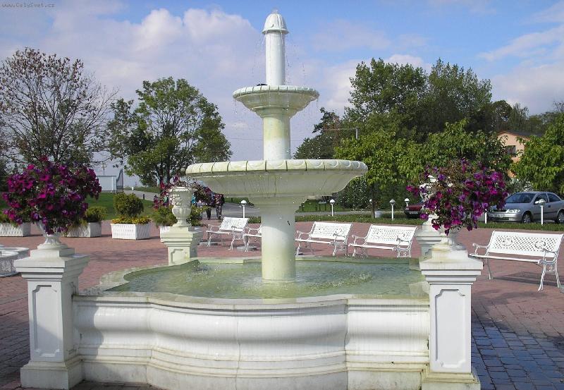 Foto: Kytičky-Horizont-Olomouc