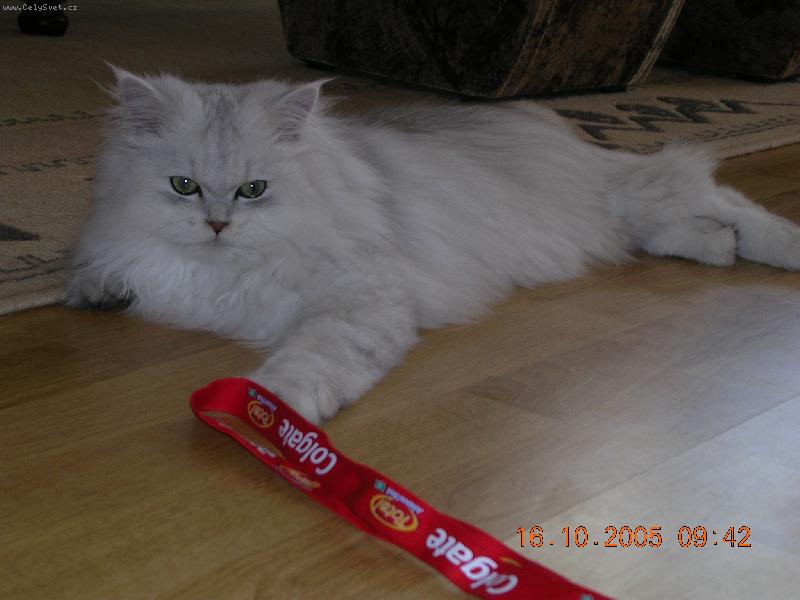 Foto: Mišánek