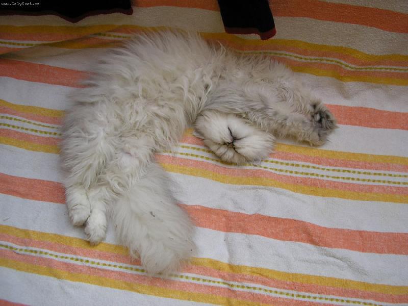 Foto: Kuku-Pohodička