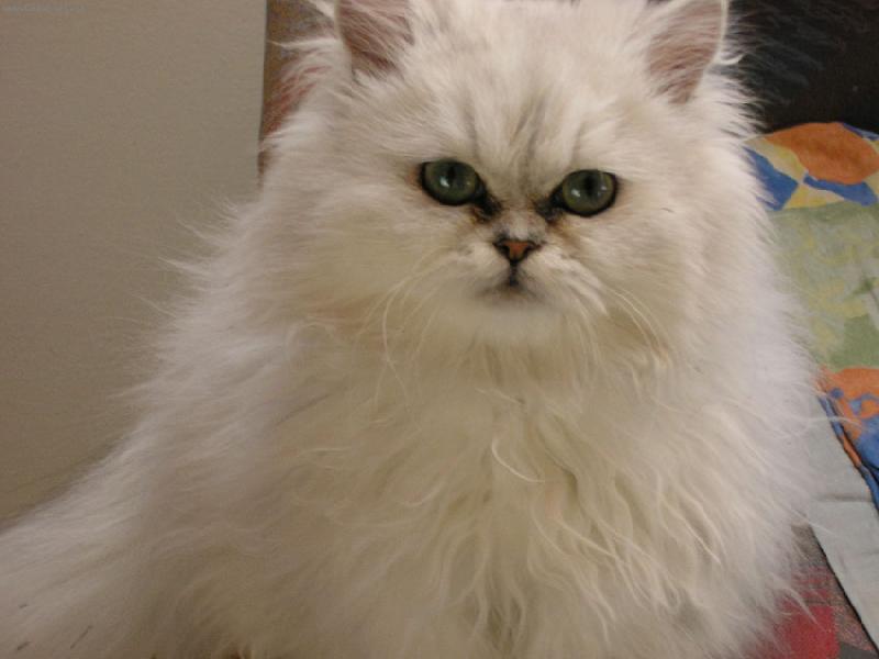 Foto: Kuku-Malá kuku