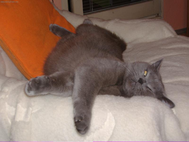 Foto: Briťák-Oskárek