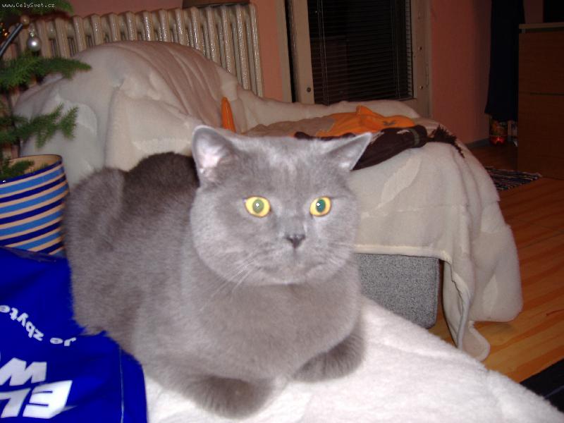 Foto: Briťák-Oskárek