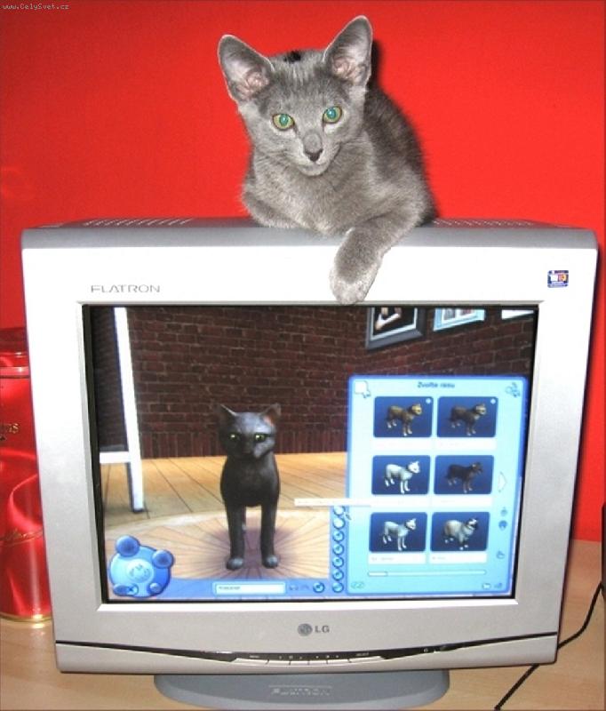 Foto: alex - 2/5 měsíce starý