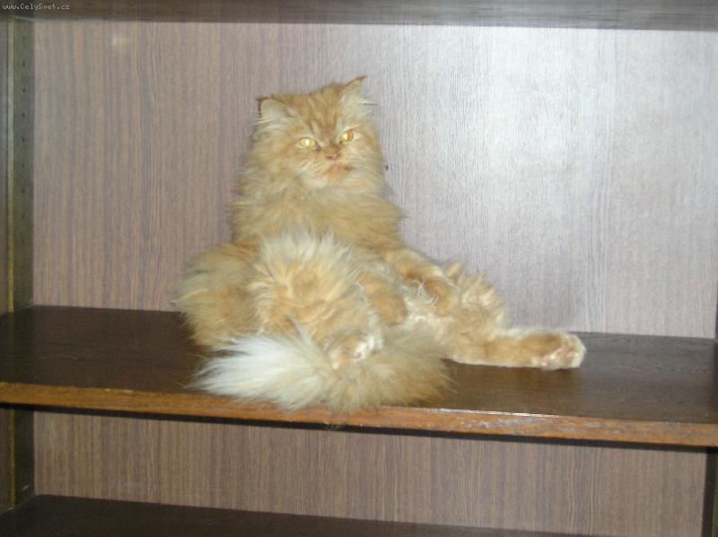 Foto: aneta-je čas přijímat audience