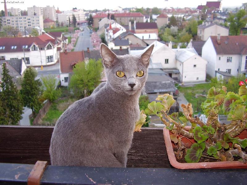 Foto: Tady královnou jsem já...-Filinka v Litovli