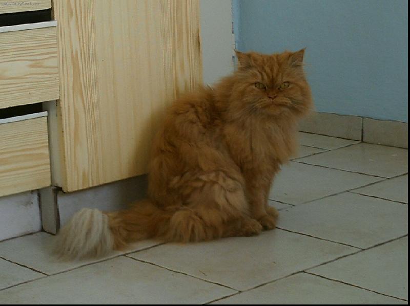 Foto: anetka-koukám dost přísně?