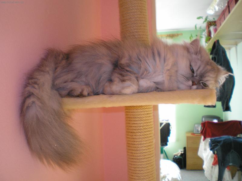 Foto: Maxík-Naše spící miminko...