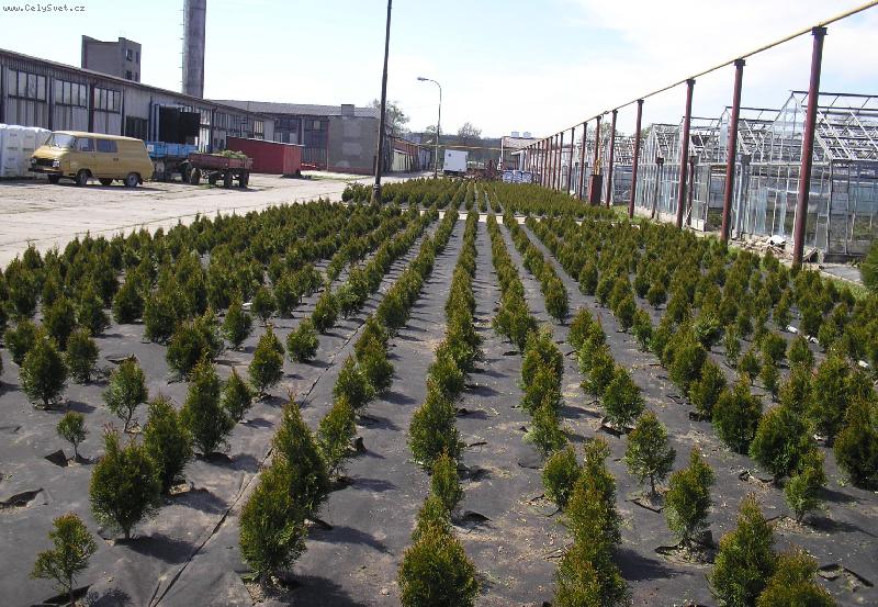 Foto: Školky-Školní zahradnictví
