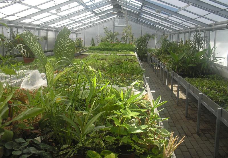 Foto: Skleník-Školní zahradnictví