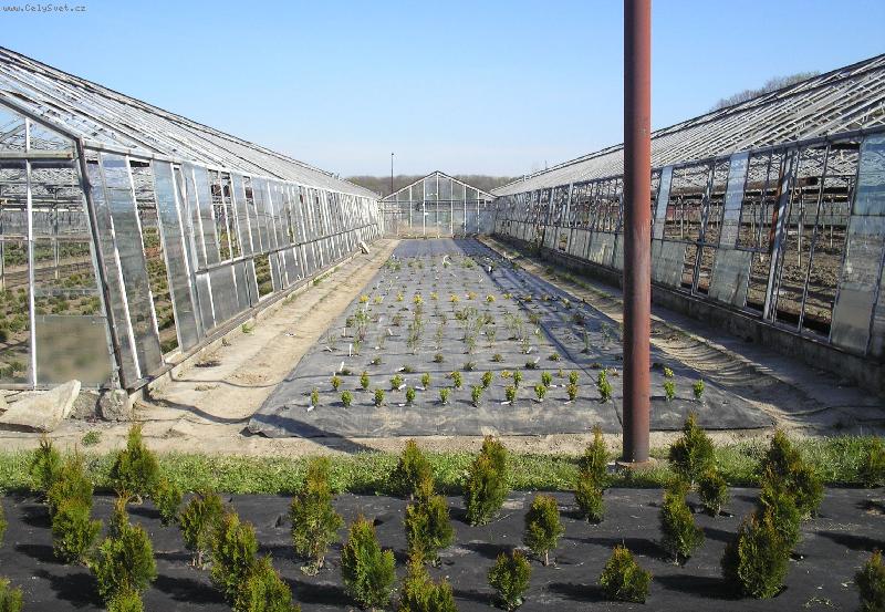 Foto: Školní statek-Školní zahradnictví