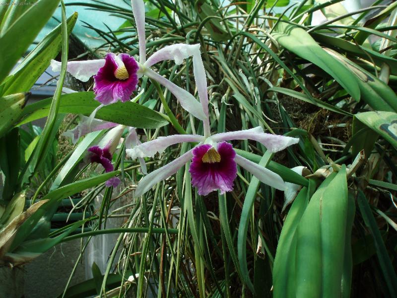 Foto: Návštěva u Anonyma