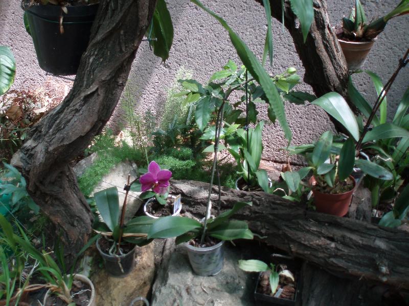 Foto: Návštěva u Anonyma