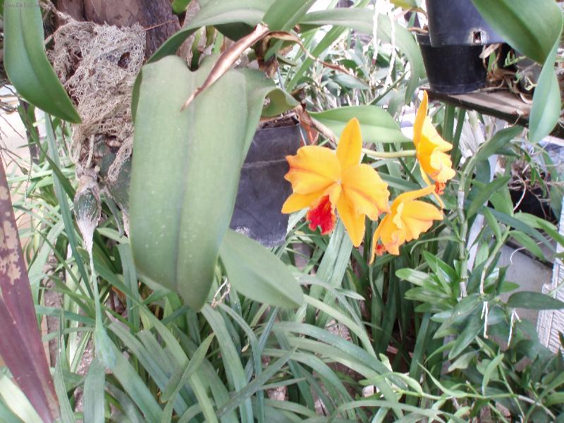 Foto: Návštěva u Anonyma