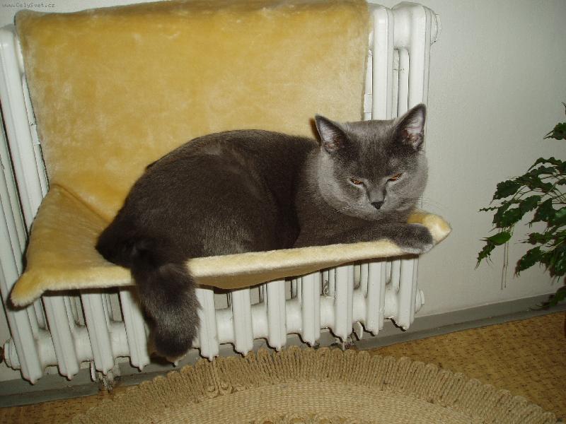 Foto: Collin-Pohodář