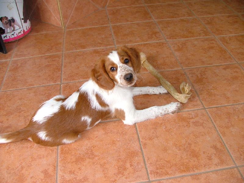 Foto: Bony Arthur Bo�ek-Kdy� m�l ro�ek