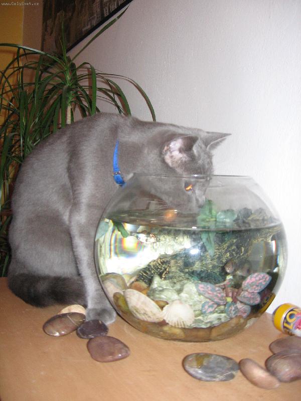 Foto: Max dodržuje pitný režim