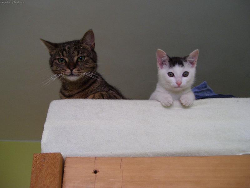 Foto: tak už pojď spát!