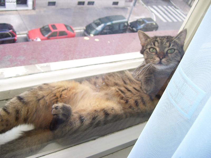 Foto: Nešmíruj, jo!?