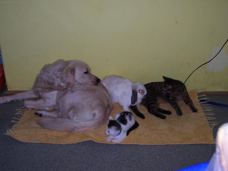 Foto: My se máme rádi