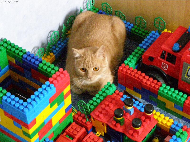 Foto: Nový domeček