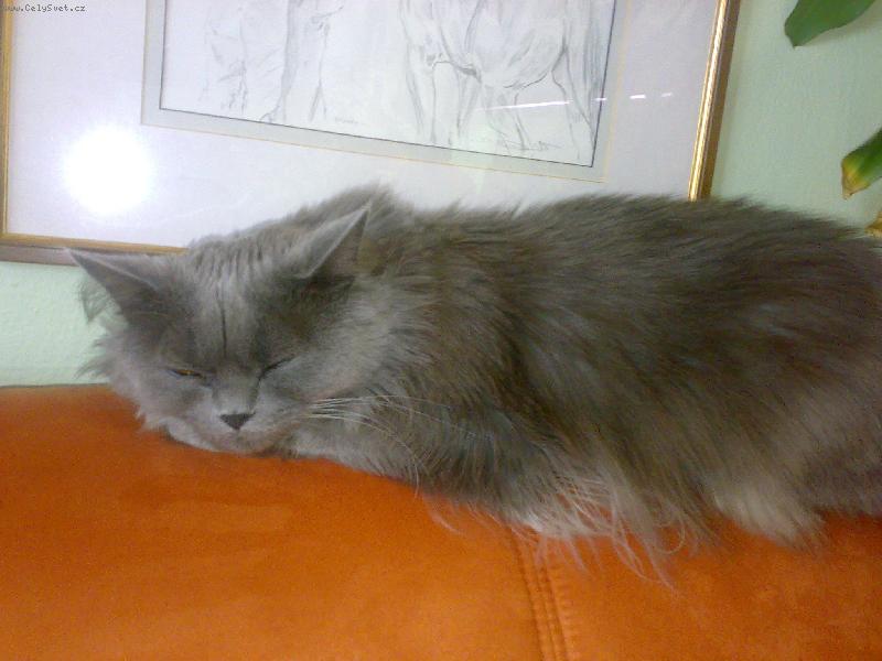 Foto: odpočívám...