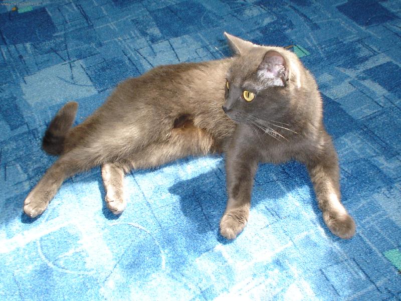 Foto: Ajla