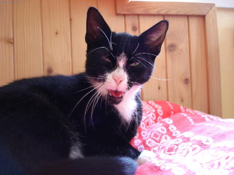 Foto: Zííívááááám:D