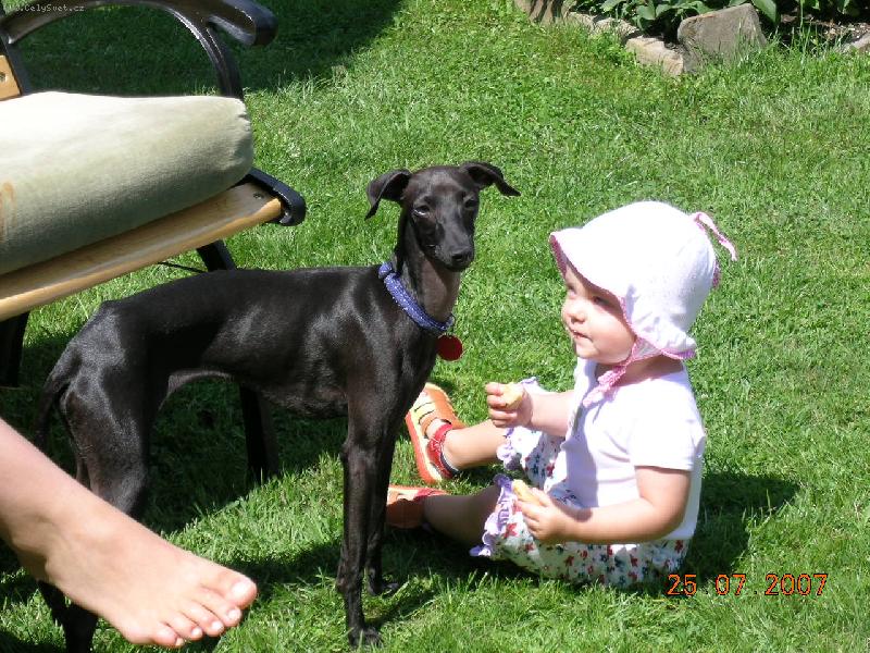 Foto: Bon��ek s Ad�lkou