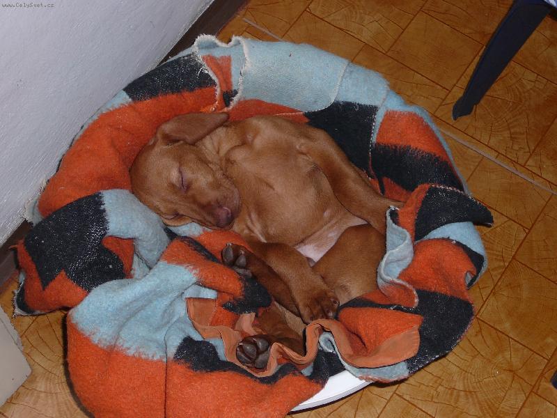 Foto: t�k� pohoda-2m�s�ce Marwin