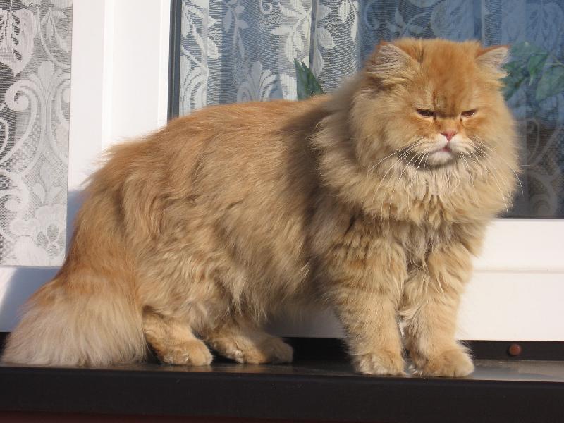 Foto: MATÝSEK-JAK SE KOUKÁ NA SVĚT