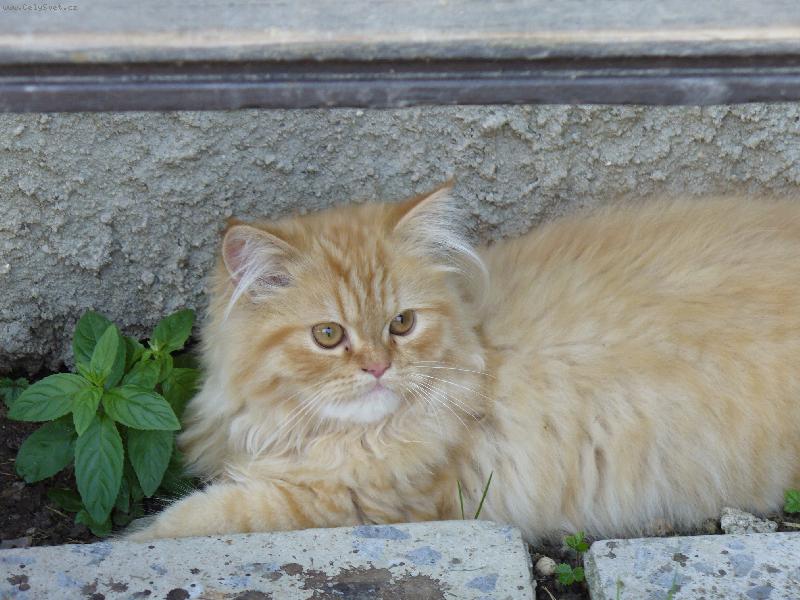 Foto: jsem krásnej?