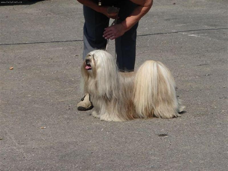 Foto: NIKI-Remata 2007