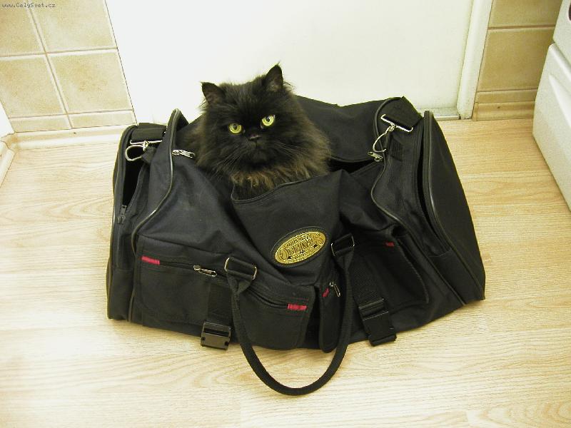 Foto: a máme sbaleno