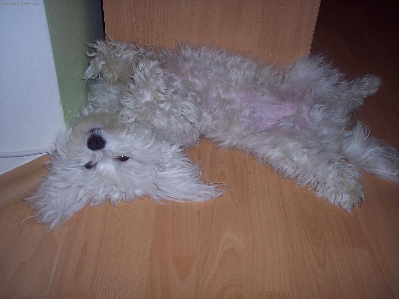 Foto: Abbýsek-moje nejoblíbenější poloha