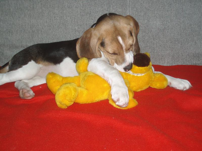 Foto: Aira-dáš mi pusu?